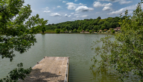Landes, Carp fishing France, lake photo 21