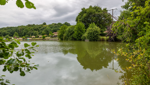 Landes, Carp fishing France, lake photo 22