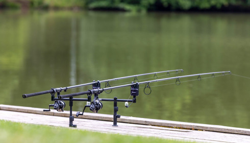 Landes, Carp fishing France, lake photo 18