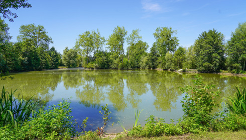 Le Repaire, Carp Fishing France with Lodge, lake photo 10