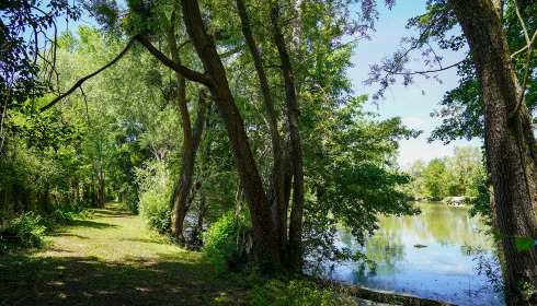 Le Repaire, Carp Fishing France with Lodge, lake photo 23