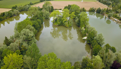 Le Repaire, Carp Fishing France with Lodge, lake photo 3