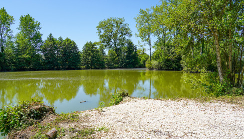 Le Repaire, Carp Fishing France with Lodge, lake photo 2