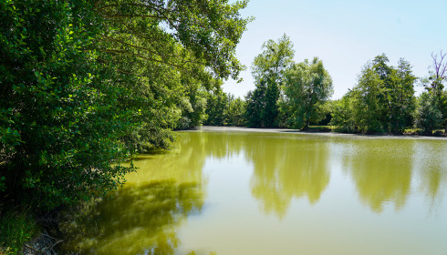 Le Repaire, Carp Fishing France with Lodge, lake photo 18
