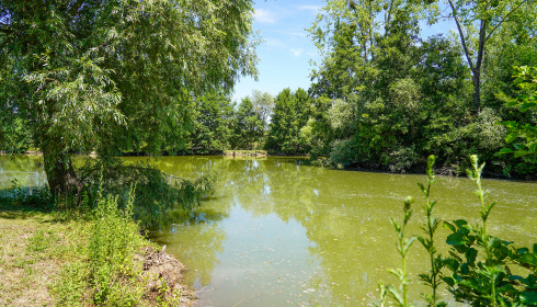 Le Repaire, Carp Fishing France with Lodge, lake photo 22