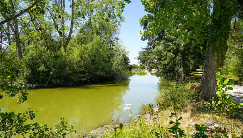 Le Repaire, Carp Fishing France with Lodge, lake photo 21