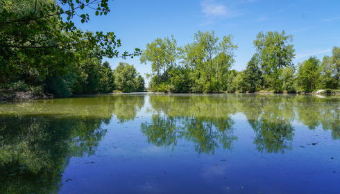 Le Repaire, Carp Fishing France with Lodge, lake photo 15