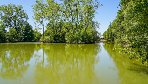 Le Repaire, Carp Fishing France with Lodge, lake photo 12