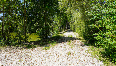 Le Repaire, Carp Fishing France with Lodge, lake photo 20