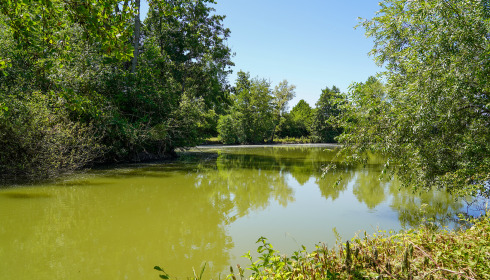 Le Repaire, Carp Fishing France with Lodge, lake photo 17