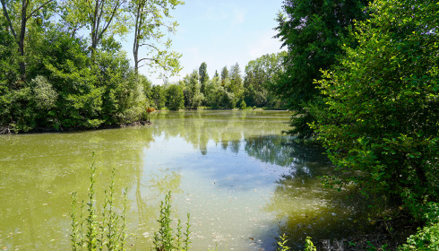 Le Repaire, Carp Fishing France with Lodge, lake photo 19
