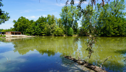 Le Repaire, Carp Fishing France with Lodge, lake photo 4