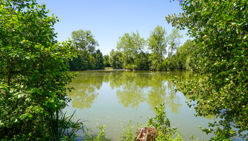 Le Repaire, Carp Fishing France with Lodge, lake photo 7