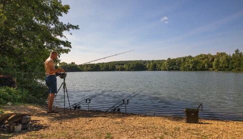 Lepinet South, Carp Fishing France, lake photo 1