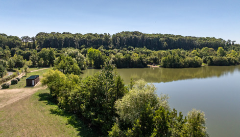 Lepinet South, Carp Fishing France, lake photo 2