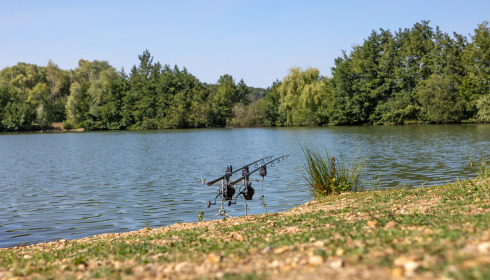 Lepinet South, Carp Fishing France, lake photo 9