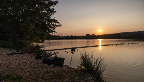 Lepinet South, Carp Fishing France, lake photo 3