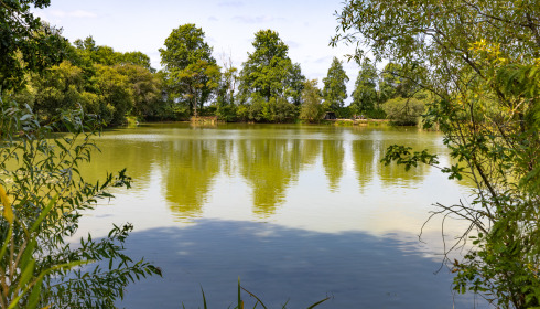 Lillybelle, Carp Fishing in France, lake photo 6