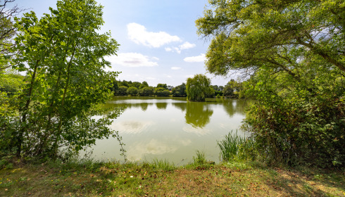 Lillybelle, Carp Fishing in France, lake photo 7
