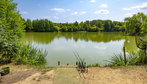 Lillybelle, Carp Fishing in France, lake photo 5