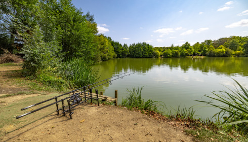 Lillybelle, Carp Fishing in France, lake photo 14