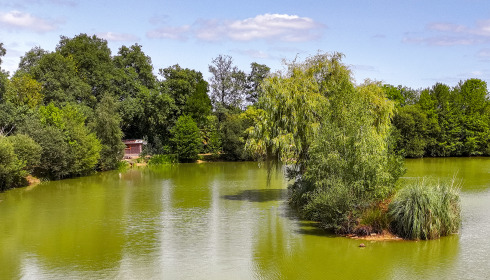Lillybelle, Carp Fishing in France, lake photo 26