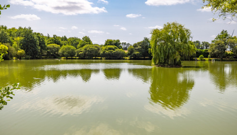 Lillybelle, Carp Fishing in France, lake photo 4