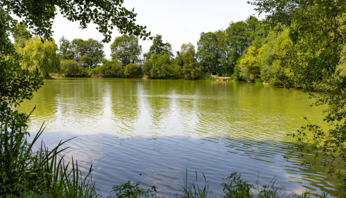 Lillybelle, Carp Fishing in France, lake photo 32