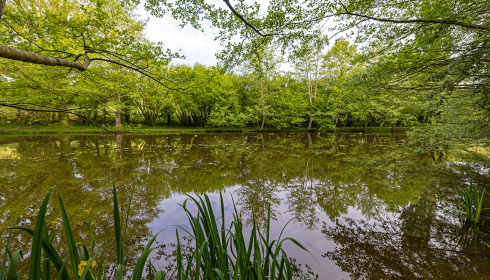 Linstant, Small Lake Exclusive in France, lake photo 16