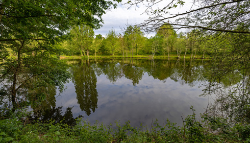Linstant, Small Lake Exclusive in France, lake photo 10