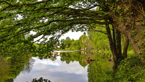 Linstant, Small Lake Exclusive in France, lake photo 7