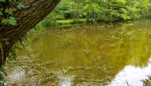 Linstant, Small Lake Exclusive in France, lake photo 3