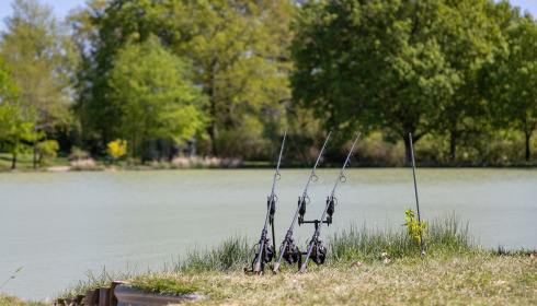 Maniere, Carp fishing in France with accommodation, lake photo 2