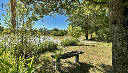 Maniere, Carp fishing in France with accommodation, lake photo 8