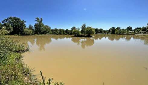 Maniere, Carp fishing in France with accommodation, lake photo 12