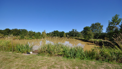 Maniere, Carp fishing in France with accommodation, lake photo 10