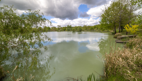 Maniere, Carp fishing in France with accommodation, lake photo 24