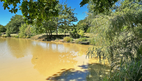 Maniere, Carp fishing in France with accommodation, lake photo 11