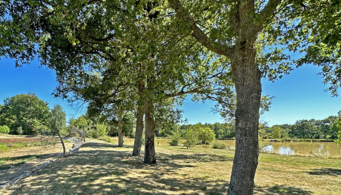 Maniere, Carp fishing in France with accommodation, lake photo 16