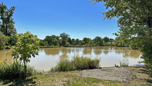 Maniere, Carp fishing in France with accommodation, lake photo 5