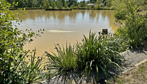 Maniere, Carp fishing in France with accommodation, lake photo 32