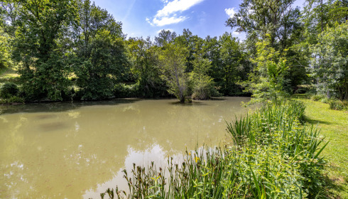 Mas Bas Lotus Lake, Carp fishing with accommodation, lake photo 9