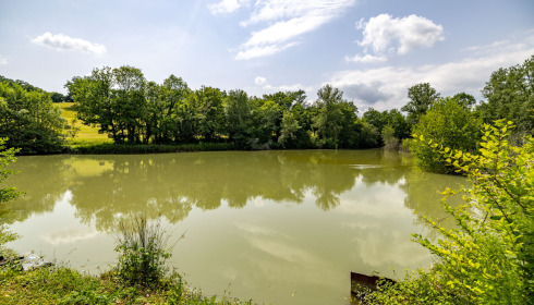 Mas Bas Lotus Lake, Carp fishing with accommodation, lake photo 10