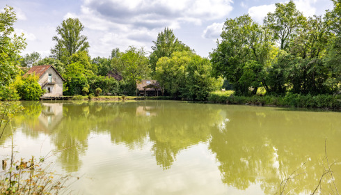 Mas Bas Lotus Lake, Carp fishing with accommodation, lake photo 13