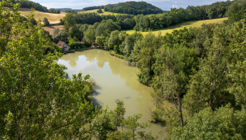 Mas Bas Lotus Lake, Carp fishing with accommodation, lake photo 8