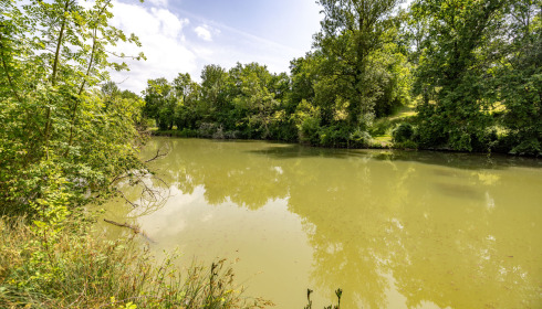 Mas Bas Lotus Lake, Carp fishing with accommodation, lake photo 5
