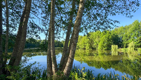 MDP Lake, Small Exclusive Carp Lake France, lake photo 22