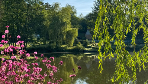 MDP Lake, Small Exclusive Carp Lake France, lake photo 20