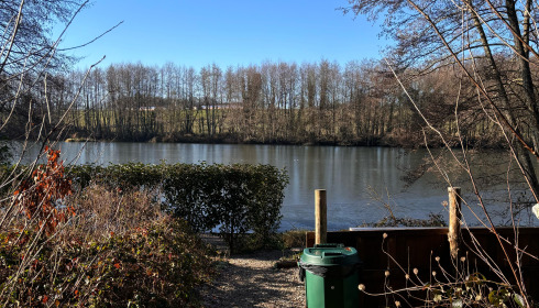 MDP Lake, Small Exclusive Carp Lake France, Behind swim 2
