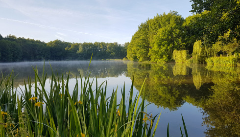 MDP Lake, Small Exclusive Carp Lake France, lake photo 17